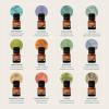 Cliganic Organic Aromatherapy TOP 12 Essential Oils Set, 100% Pure – Peppermint, Lavender, Eucalyptus, Tea Tree, Lemongrass, Rosemary, Frankincense, Orange, Lemon, Cassia, Cedarwood & Grapefruit(0.17 Fl Oz (Pack of 12))