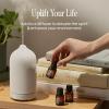 Cliganic Organic Essential Oils Gift Set (Top 4 – The Basics), 100% Pure Natural Aromatherapy – Peppermint, Eucalyptus, Tea Tree & Orange(0.17 Fl Oz (Pack of 4))