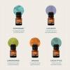 Cliganic Organic Essential Oils Set (Top 5 – The Classics) – 100% Pure Natural – Aromatherapy, Candle Making – Peppermint, Lavender, Eucalyptus, Lemongrass & Orange(0.17 Fl Oz (Pack of 10))