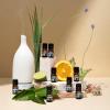 Cliganic Organic Rosemary Essential Oil, 100% Pure Natural, for Hair, Skin, Aromatherapy | Non-GMO Verified(Cardamom)