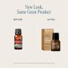 Cliganic Organic Rosemary Essential Oil, 100% Pure Natural, for Hair, Skin, Aromatherapy | Non-GMO Verified(Cinnamon Leaf)