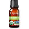 Cliganic Organic Rosemary Essential Oil, 100% Pure Natural, for Hair, Skin, Aromatherapy | Non-GMO Verified(Coriander)