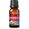 Cliganic Organic Rosemary Essential Oil, 100% Pure Natural, for Hair, Skin, Aromatherapy | Non-GMO Verified(Geranium)