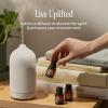 Cliganic Organic Rosemary Essential Oil, 100% Pure Natural, for Hair, Skin, Aromatherapy | Non-GMO Verified(Lime)
