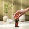 Cliganic Organic Rosemary Essential Oil, 100% Pure Natural, for Hair, Skin, Aromatherapy | Non-GMO Verified(Lime)