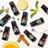 Cliganic Organic Rosemary Essential Oil, 100% Pure Natural, for Hair, Skin, Aromatherapy | Non-GMO Verified(Oregano)