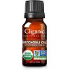 Cliganic Organic Rosemary Essential Oil, 100% Pure Natural, for Hair, Skin, Aromatherapy | Non-GMO Verified(Patchouli)