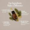Cliganic Organic Rosemary Essential Oil, 100% Pure Natural, for Hair, Skin, Aromatherapy | Non-GMO Verified(Pine)