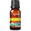 Cliganic Organic Rosemary Essential Oil, 100% Pure Natural, for Hair, Skin, Aromatherapy | Non-GMO Verified(Ylang Ylang)