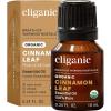 Cinnamon Leaf