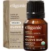 Clove Bud