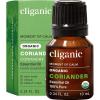 Coriander