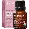 Geranium