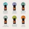 Cliganic Organic Aromatherapy Essential Oils Set (Top 6 – The Essentials), 100% Pure Natural – Peppermint, Lavender, Eucalyptus, Tea Tree, Lemongrass & Orange (Packaging May Vary)(0.17 Fl Oz (Pack of 6))