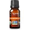 Cliganic Organic Essential Oil Sleep Surrender Blend – Dose of Dreamland (Packaging May Vary)(Reinforce)