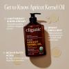 Cliganic Organic Apricot Oil, 100% Pure (8oz) – For Skin, Hair & Face | Natural Cold Pressed Unrefined(8 Fl Oz (Pack of 1))