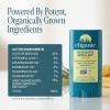 Cliganic Mosquito Repellent Stick for Adults & Kids – 5 Hours of Natural, DEET-Free Protection, Non-GMO Verified, with Organically Grown Ingredients & Essential Oils, Easy to Use Travel Stick(1 Count (Pack of 1))