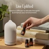 Cliganic May Chang Essential Oil, 100% Pure Natural for Aromatherapy | Non-GMO Verified(2 Fl Oz (Pack of 1))