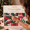 Cliganic Organic Lip Balm Set, 12 Daily Delights – Advent Calendar(Holiday Set)