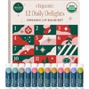 Cliganic Organic Lip Balm Set, 12 Daily Delights – Advent Calendar(Holiday Set)